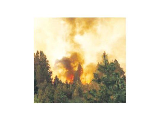 Un feroz incendio se desató ayer en la ciudad de Bariloche, lo que obligó al corte de la Ruta 40.
