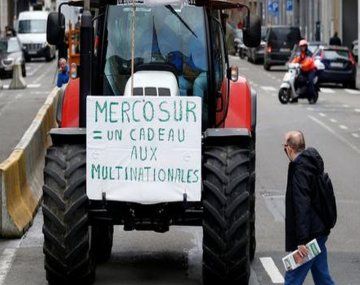 Los millonarios subsidios por los que agricultores europeos se resisten al acuerdo con el Mercosur