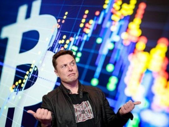 Charles Hoskinson dijo que Elon Musk debería invertir en Cardano en vez de Bitcoin.