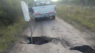 El fenómeno sorprendió a los productores