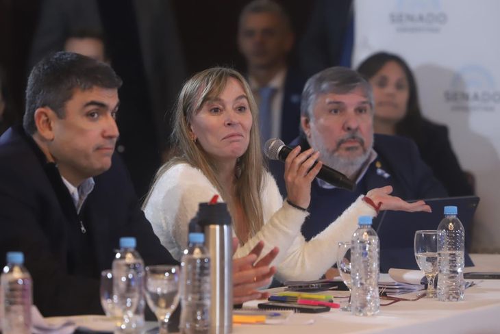 Senadores de Unión por la Patria.