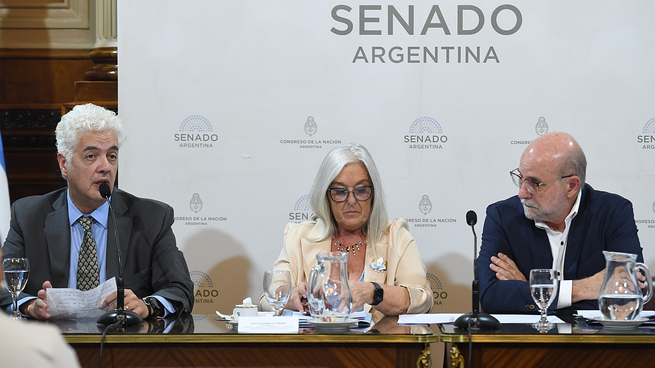 Ley de Glacaires. Alfredo Vitaller disertó en el Senado en representación de CAEM.