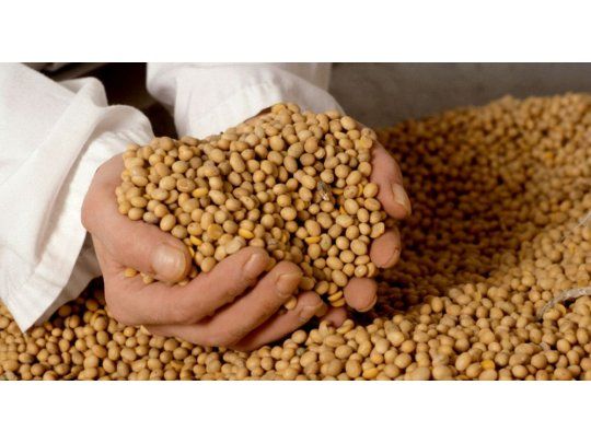 La soja rebotó un 2,5% a u$s 376,11