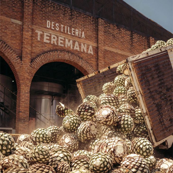 Detrás del carisma de La Roca aparece un costado empresario que sorprendió a Hollywood. Detrás del carisma de La Roca aparece un costado empresario que sorprendió a Hollywood.