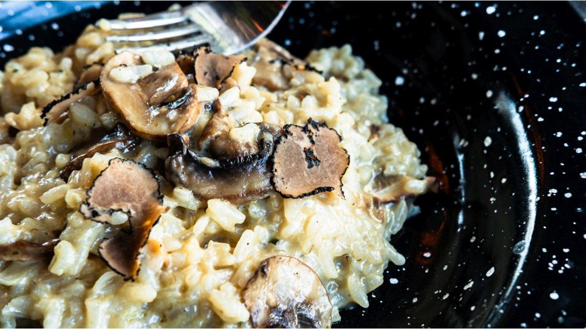 Truffle season has arrived: where to taste 10 unique dishes