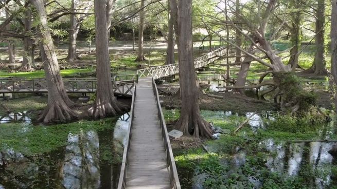 El bosque oculto de Aguscalientes que enamora a todos los que lo visitan por primera vez