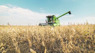 el campo que viene: entre los dolares y la bioeconomia el campo que viene: entre los dolares y la bioeconomia