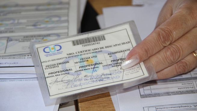 El CUD otorga el beneficio para acceder a una variedad de autos con descuento.&nbsp;