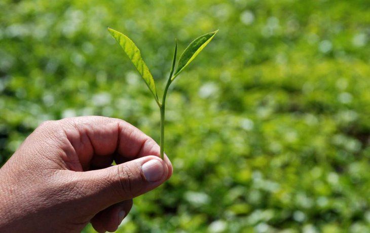 La falta de intenet, un problema para la agricultura familiar