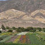 Comida, cultura y paisajes hermosos, este destino tiene lo que todo viajero busca. Comida, cultura y paisajes hermosos, este destino tiene lo que todo viajero busca.