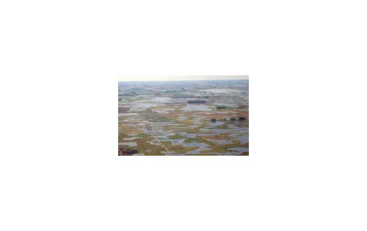Oil World reduce estimación de soja récord argentina por inundaciones
