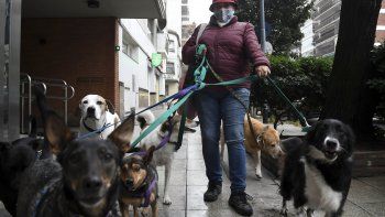 coronavirus: confirman nuevo record de 5.782 casos en las ultimas 24 horas
