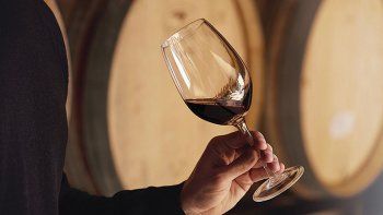 malbec, el vino mas consumido por los argentinos