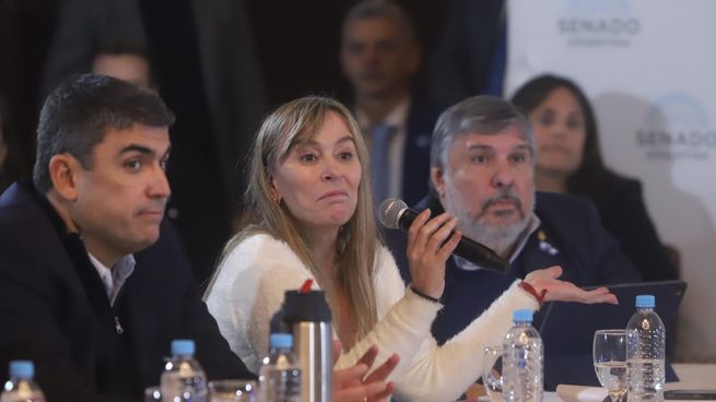 Pese a los bloqueos oficialistas, la oposición busca activar el funcionamiento de la Cámara