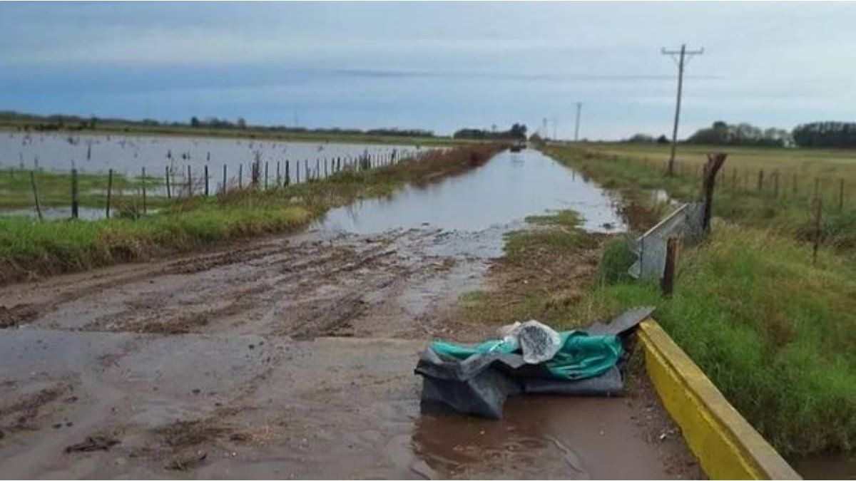 The province declared the emergency or agricultural disaster in ten districts by floods