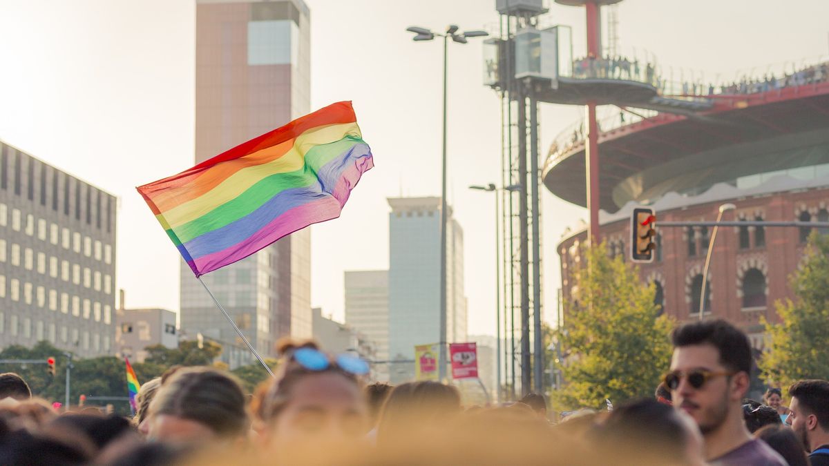 The Georgian government presents a project that prohibits equal marriage
