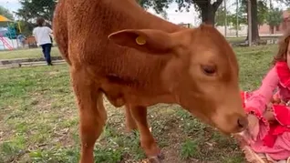 Berni formaba parte de un proyecto educativo sobre sustentabilidad y ambiente. 