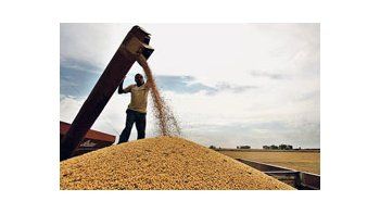 En caso de que se cosechen 42 millones de toneladas de soja, 7 millones se exportarían como poroto y unos 34,5 millones se destinarían a la producción de aceite.