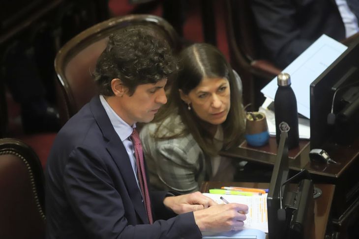 Martín Lousteau en el Senado. Martín Lousteau en el Senado.