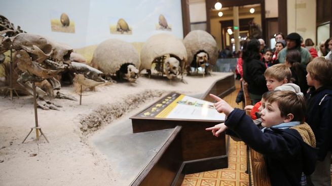 El recorrido de una hora y media permite reconocer la fauna del planeta.