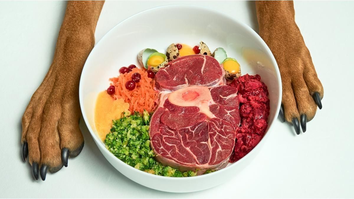 The BARF diet for pets: is it beneficial or harmful to your health, according to experts