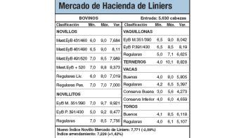 Vacas registraron pérdidas del 3,5%
