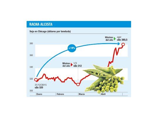 Soja llegó al máximo del año: u$s 380 la tonelada