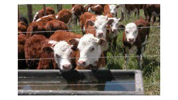 Bajó la hacienda por escasa demanda