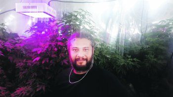 master grower: una tarea clave para el cultivo