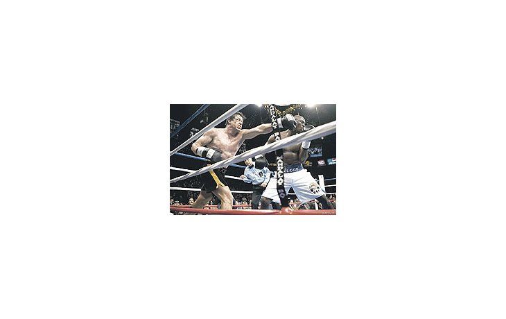 ámbito.com | «Rocky Balboa» es un intento fallido de devolver al ring (y al cine) al famoso pugilistade otros tiempos, pese a las técnicas de animación digital y a la elaborada estética dela primera parte del film.