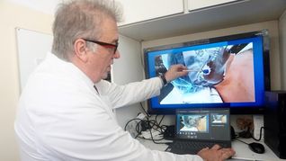 El procedimiento se llevó a cabo en noviembre. Desde entonces realizaron otros dos más.&nbsp;