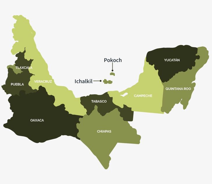 Los campos Ichalkil y Pokoch, ubicados frente a Campeche, son considerados proyectos petroleros con alto potencial de producción en aguas someras. Los campos Ichalkil y Pokoch, ubicados frente a Campeche, son considerados proyectos petroleros con alto potencial de producción en aguas someras.