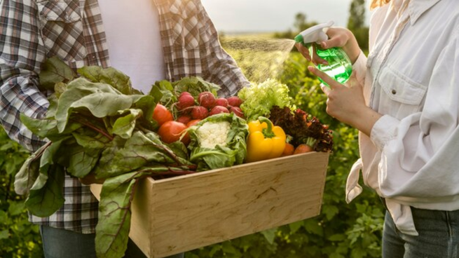 Oro verde: beneficios de comer espinanca
