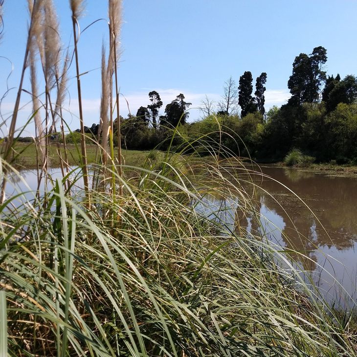 One of the excavations produced by the brick kilns, and the subsequent lagoon that was formed in the Park. One of the excavations produced by the brick kilns, and the subsequent lagoon that was formed in the Park.
