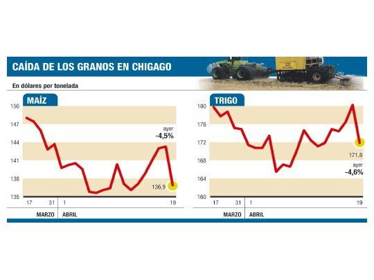 Cayeron todos los granos: el trigo se desplomó un 4,6%