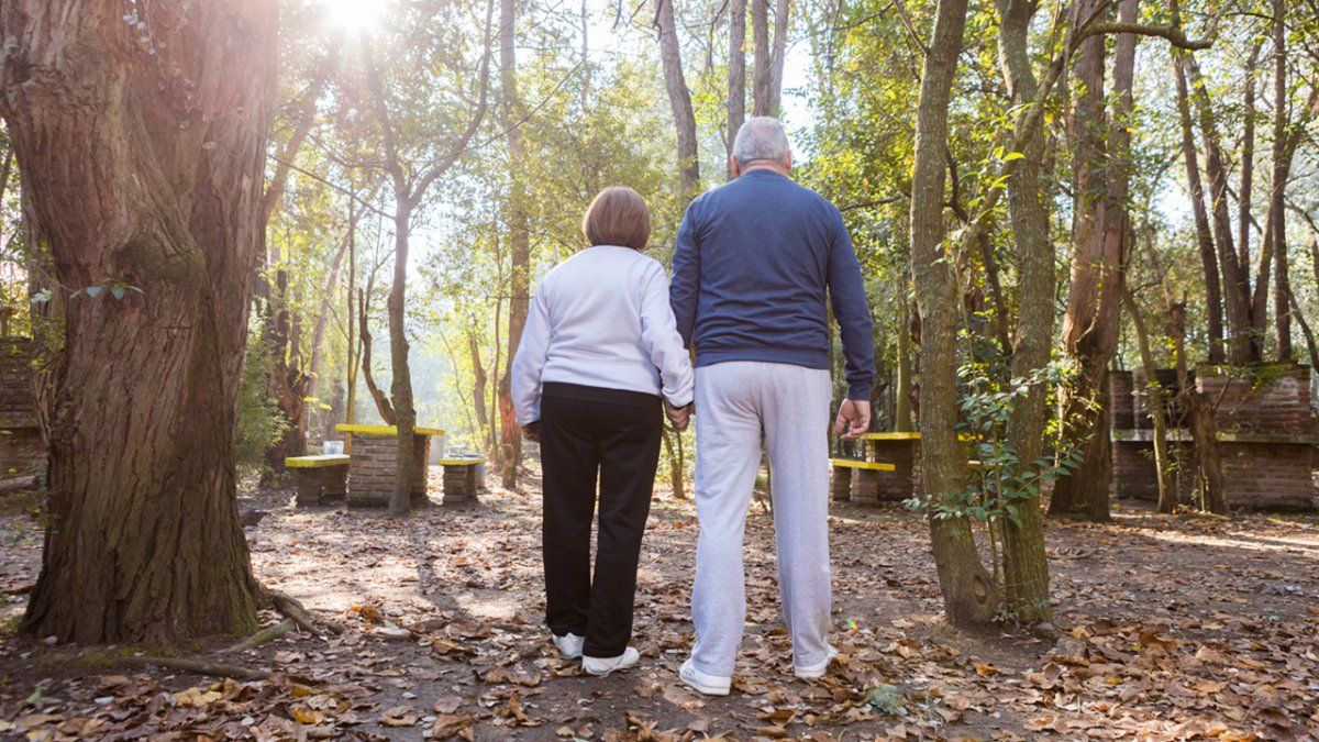 The rare workout that is effective for people over 65: works forgotten muscles