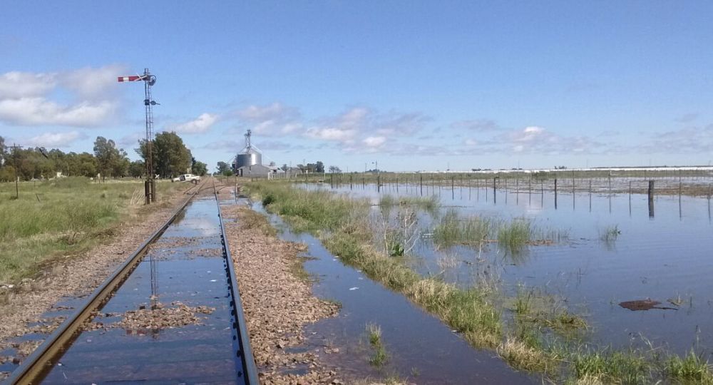 La medida responde a la cr&iacute;tica situaci&oacute;n productiva generada por inundaciones persistentes.