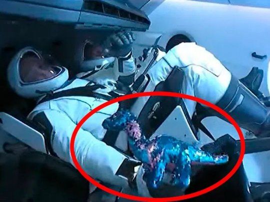 Bob Behnken y Doug Hurley no viajaron solos en el vuelo de la NASA a una estación espacial, sino que estuvieron acompañados por un pequeño dinosaurio con lentejuelas de juguete.