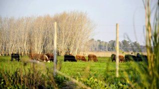 El programa fue creado en 2021 con el objetivo de fortalecer el sistema económico productivo agropecuario, pesquero, agroalimentario y de alimentos de la Provincia de manera sustentable, tanto social como económica y ambientalmente.