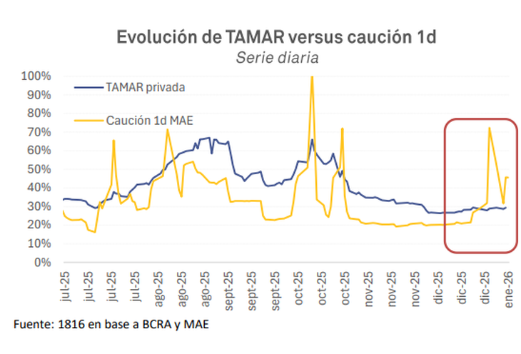 Gráfico de la consultora 1816 Gráfico de la consultora 1816