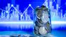 The pause in the downward interest rate cycle is a clear signal to keep inflation in the target range, economists analyzed. The pause in the downward interest rate cycle is a clear signal to keep inflation in the target range, economists analyzed.