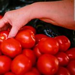 Jitomate no para de subir en México. Jitomate no para de subir en México.