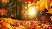 Otoño.