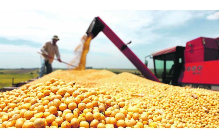 Los productores siguen con expectativas relativamente buenas sobre el futuro, pero el presente se percibe más complicado. Los productores siguen con expectativas relativamente buenas sobre el futuro, pero el presente se percibe más complicado.