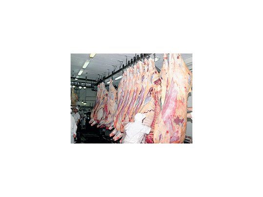 El Gobierno uruguayo anunció el inicio de negociaciones hoy en una misión comercial en Corea del Sur para abrir el mercado de carnes.