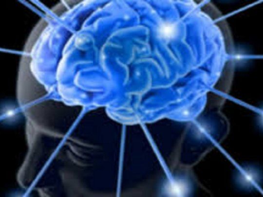 Imaginación y cerebro. 