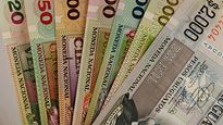¿que dijo el fmi sobre los bancos de uruguay en medio de la crisis mundial?