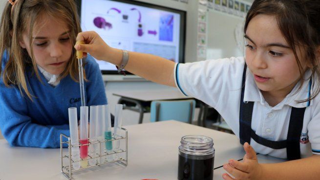 El cuarto jueves de abril fue declarado como el Día Internacional de las Niñas en la ciencia.&nbsp;