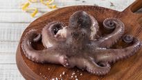 Pulpo, una estrella en la Semana Santa.
