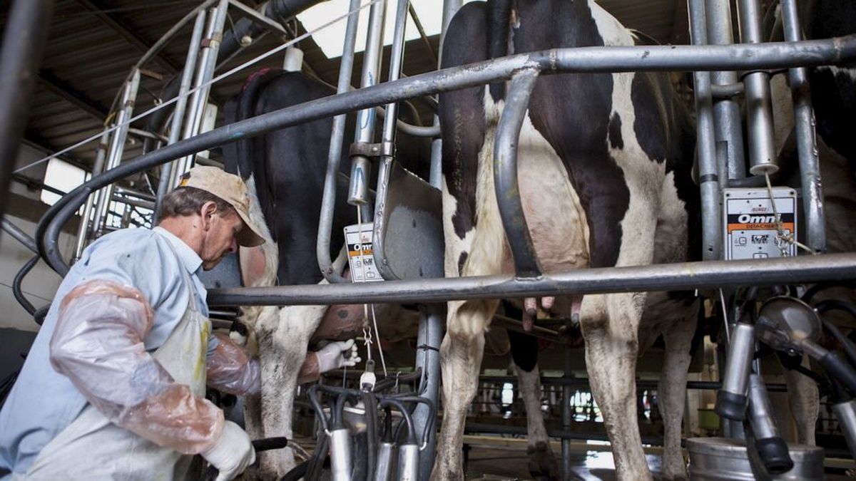 Transformación digital: el agro también se suma al cambio - TrendRadars ...